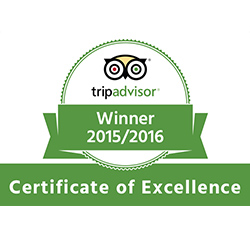 TripAdvisor